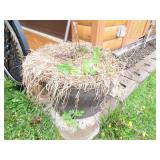 Matching Flower Pots