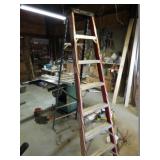 Werner Step Ladder