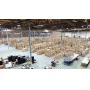 World's Largest Abandoned Property Auction: $100M+ MSRP!