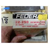 Federal 22-250 Brass 20ct