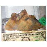 Rock Slab Browns