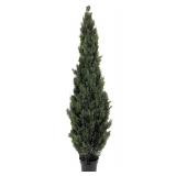 8 Foot Outdoor Artificial Cedar Topiary Tree UV