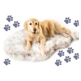 PupRug Orthopedic Dog Bed for Large Dogs with