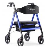 OasisSpace Heavy Duty Rollator Walker