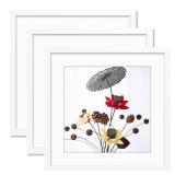 24x24 Frame White  Display Picture 20x20 with