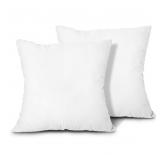 EDOW Throw Pillow Inserts  Set of 2 Lightweight