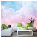 Large Silk Wall Murals  Cloud Wallpaper  155in W