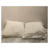 Boho Pillow Covers 18x18 Set of 2  Throw Pillows