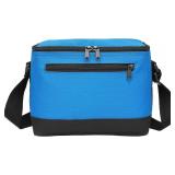 Insulated lunch Bag  6 Cans Small Insulated