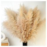 10 PCS 40  Tall Pampas Grass Stems in Natural