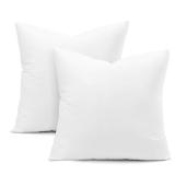 puredown  22x22 Pillow Inserts  2 Pack Down