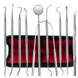Dental Kit Tools  10 Pack Stainless Steel Plaque