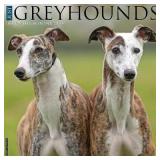 Just Greyhounds 2024 12 X 12 Wall Calendar  Other
