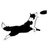 Fencosyn Animal Silhouette Border Collie Holding
