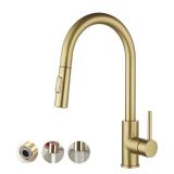Havin Gold Kitchen Faucet with Pull Down Sprayer