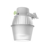 250W Equivalent Barn Light with 29W LED bulb