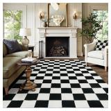 Lahome Black and White Checkered Rug for Living