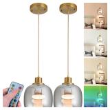 2 Pcs Battery Operated Pendant Light Battery