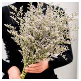 Dried Flowers Bouquet  Dry Caspia Flower Bundle