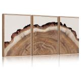 HPINUB Framed Tree Rings Wood Wall Art Set