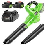 Leaf Blower Cordless with 2 Batteries and Charger
