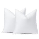 OTOSTAR Pack of 2 Down and Feather Throw Pillow
