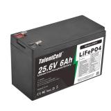 Talentcell 24V 6Ah LiFePO4 Battery Pack LF8011