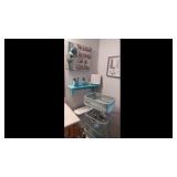 Aqua Bathroom Decore