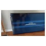 Vizio 50' TV