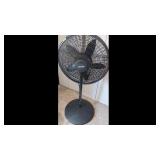 Black Fan about 43' Tall