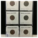 (6) 1883-1908 Indian Head Pennies 1c