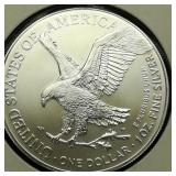 2024 Walking Liberty Dollar 1 Troy Oz