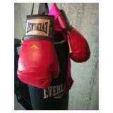 Everlast Boxing Bag, Rings& Stepping Excercise