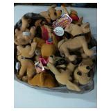 Dozen or So Chihuahuas Yo Quiero Taco Bell