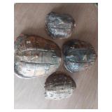 (4) Hard Back Turtle Shell Clocks