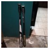 2 Aluminum Bats