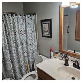 Contents of the Bathroom, Shower Curtain