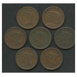 7- Mixed Braided Hair Large Cents
