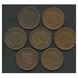 7- Mixed Braided Hair Large Cents