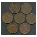 7- Mixed 1850's Braided Hair Large Cents