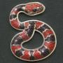 Jun 21st Rare and Key-Date Estate Coin Auction #215