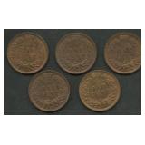5- 1906 and 1907 Indian Head Cents Higher Grade