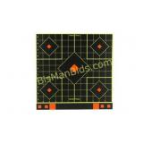 B/C SHT-N-C 12' SIGHT-IN TRGT 5PK