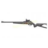 WIN WILDCAT 22LR 18' 10RD RED DOT