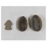Vintage Fossils and arrowhead