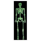 Crazy Bonez Glow in The Dark Pose-N-Stay Skeleton