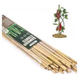 Cambaverd Bamboo Sticks for Plants 2 Feet Bamboo Cambaverd Bamboo Sticks for Plants 2 Feet Bamboo