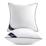 Siluvia 18"x18" Pillow Inserts Set of 2 Decorative