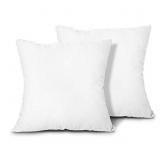 EDOW Throw Pillow Inserts, Set of 2 Lightweight Do