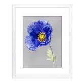 VNVNK 14x18 Frame White, Perfect for 14x18 Inch Pi